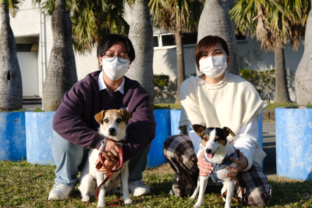ペットはモノじゃない 迷い犬猫情報をインスタで発信 Hub沖縄 つながる沖縄ニュースネット
