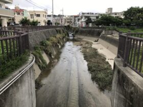 真嘉比遊水池通常