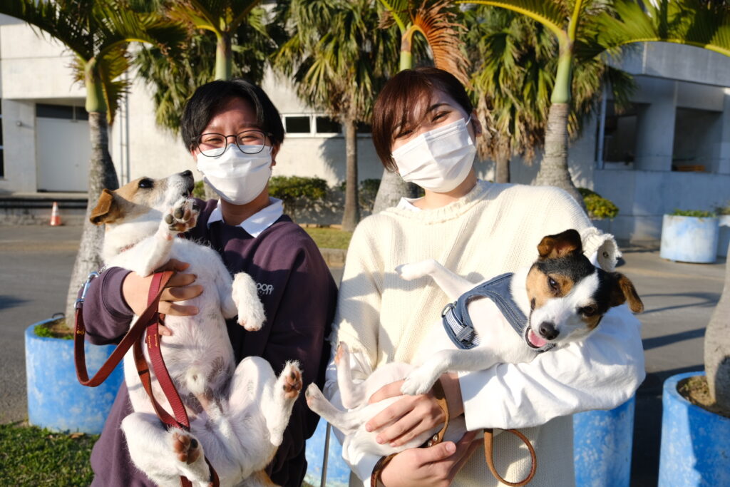 ペットはモノじゃない 迷い犬猫情報をインスタで発信 Hub沖縄 つながる沖縄ニュースネット ページ 3
