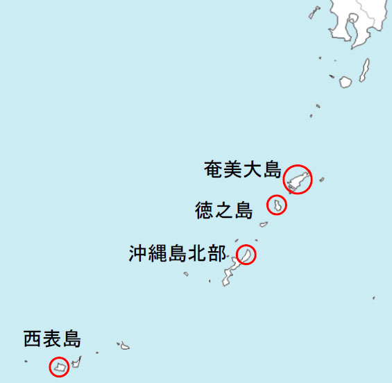 「沖縄・奄美」世界遺産登録へ - HUB沖縄（つながる沖縄ニュースネット）